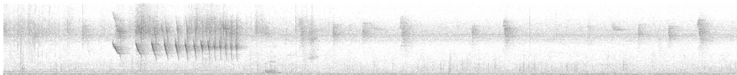 Dusky-tailed Antbird - ML642408451