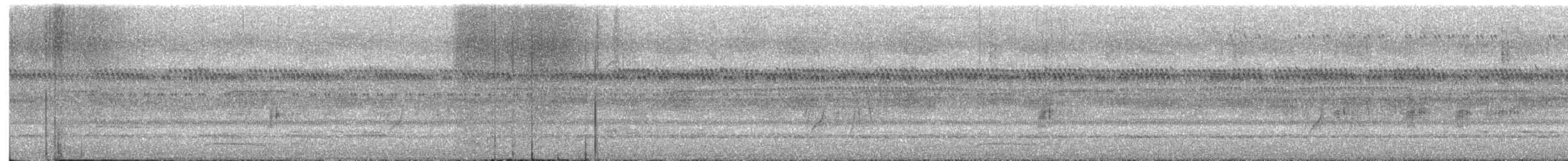 Collared Forest-Falcon - ML642409119
