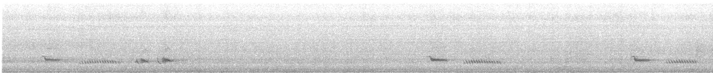 Tropical Mockingbird - ML642409134