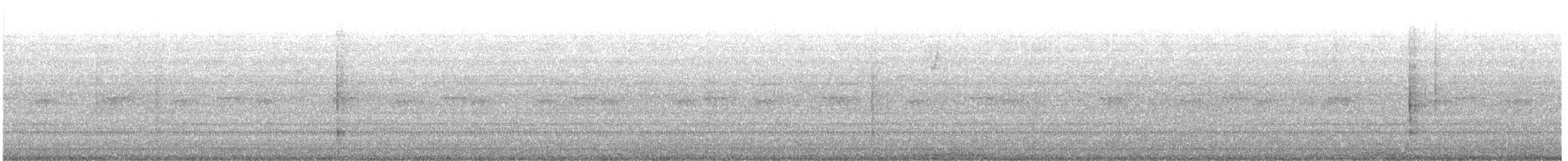 new world sparrow sp. - ML642409551
