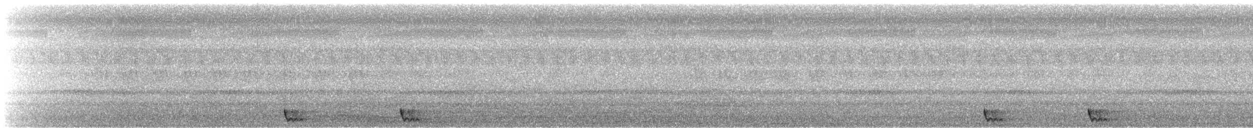 Large-tailed Nightjar - ML642413085