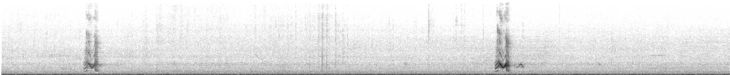 Little Friarbird - ML642414846