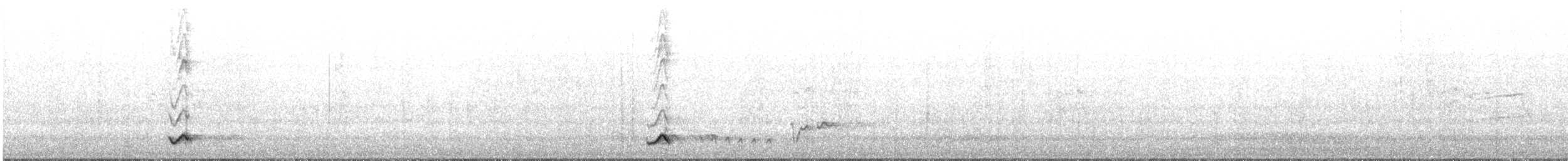 Little Friarbird - ML642414847