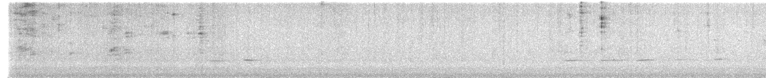 Streifenkuckuck - ML642414940