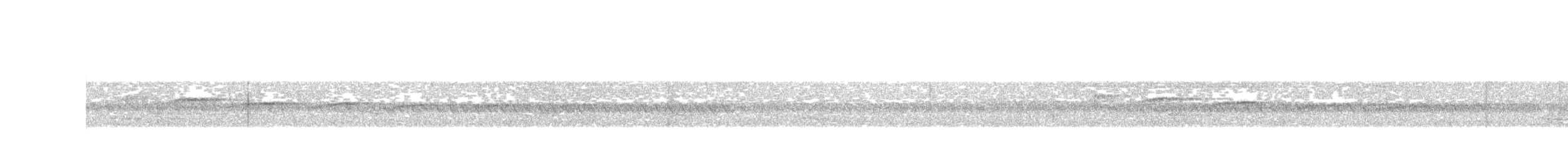 South American Leaftosser - ML642415730