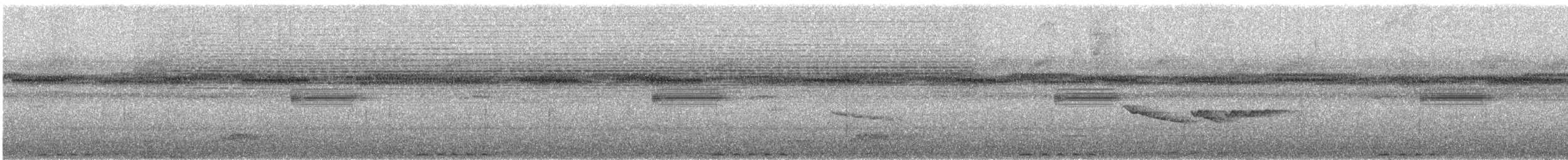 Rufous Motmot - ML642418198