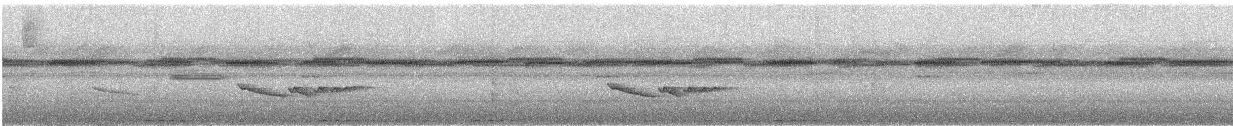 Mistletoe Tyrannulet - ML642418202