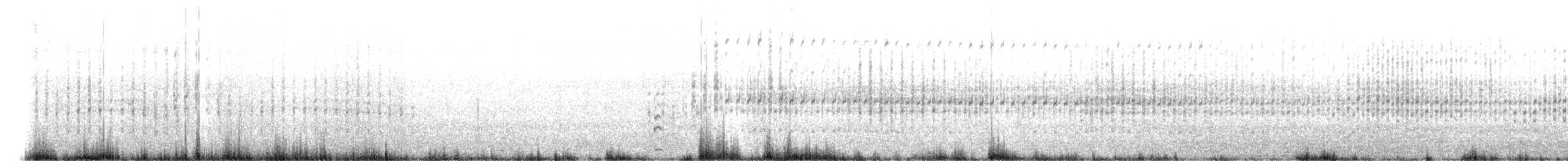 Australasian Grebe - ML642418491