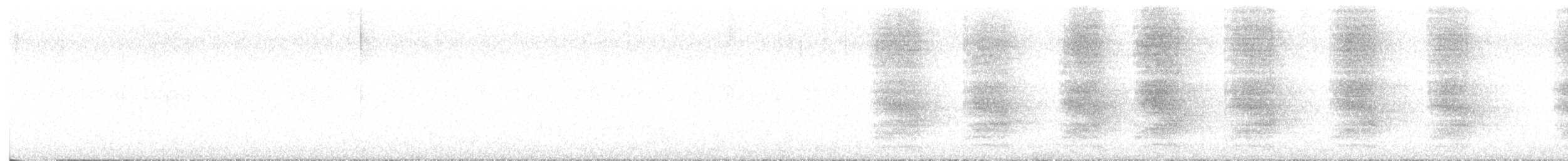 Geai de Steller - ML642418976