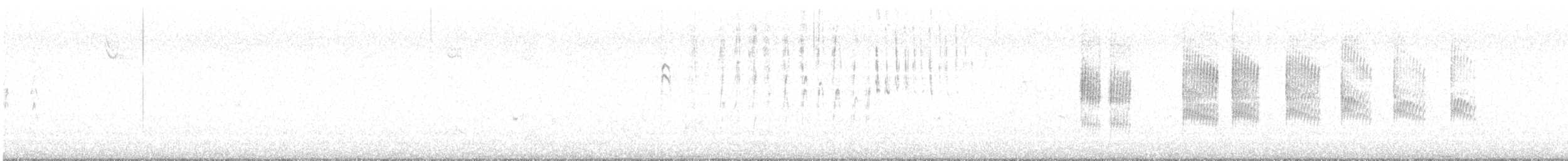 Northern House Wren - ML642419322