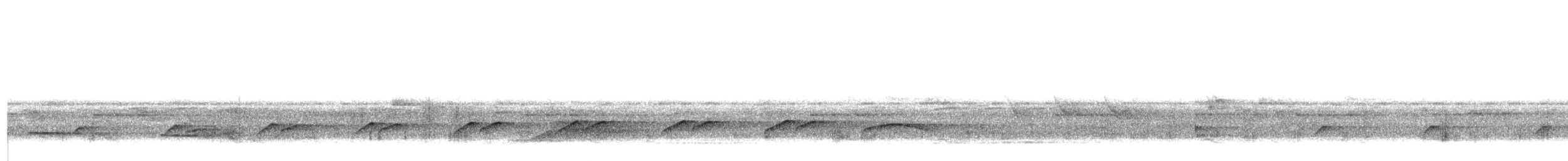 Atila Polimorfo - ML642419772
