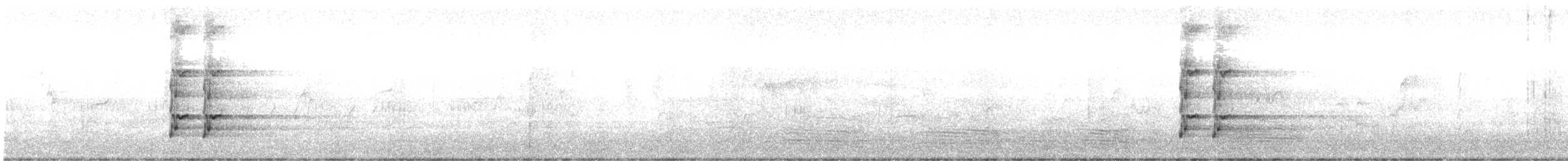 Gray Currawong - ML642421946