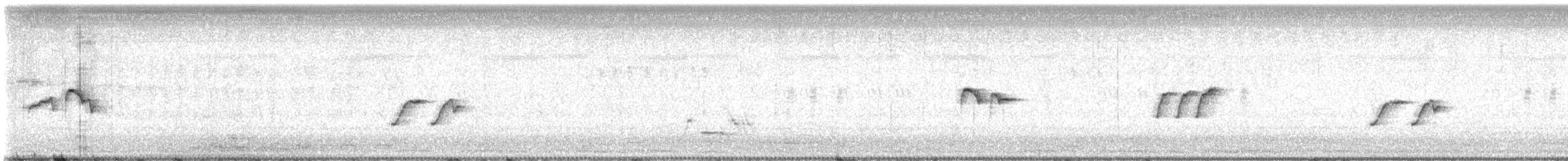 Bengalino comune - ML642422231