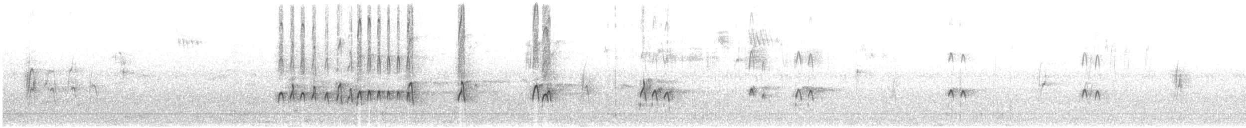 langnebbekkasinsnipe - ML642422731