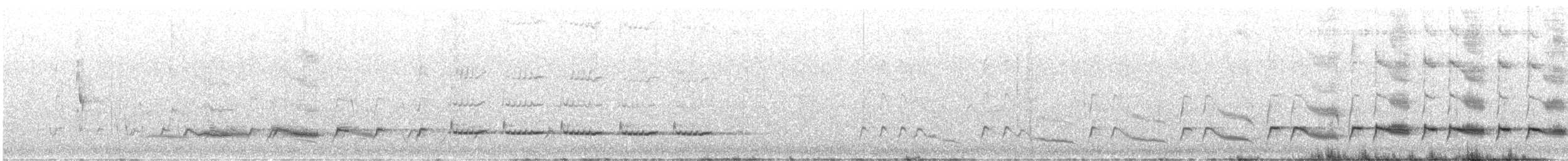 Spiny-cheeked Honeyeater - ML642423023