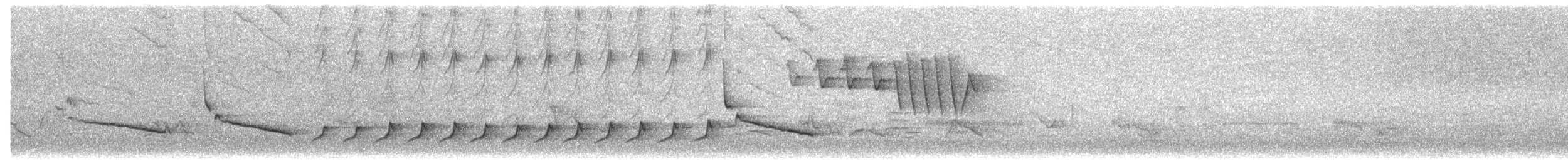 Northern Cardinal - ML642423506