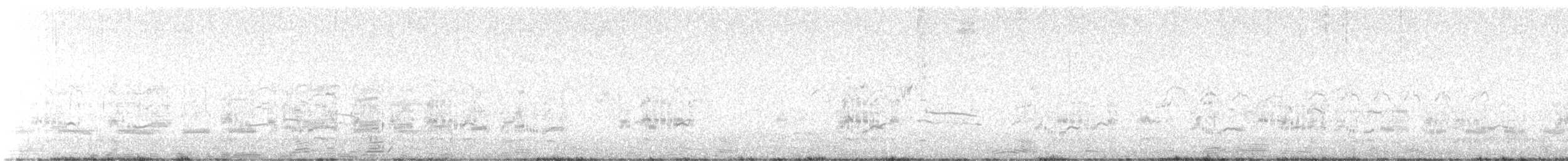 サンドイッチアジサシ - ML642424355