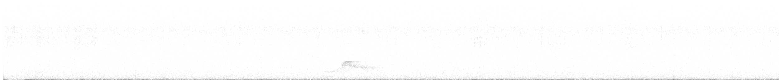 pauraquenattravn - ML642426483
