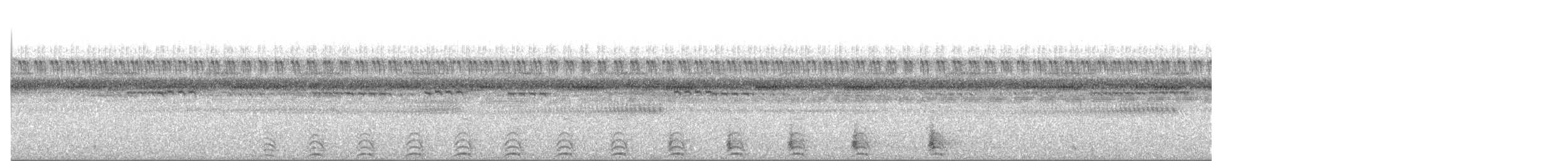 Striped Owl - ML642427857