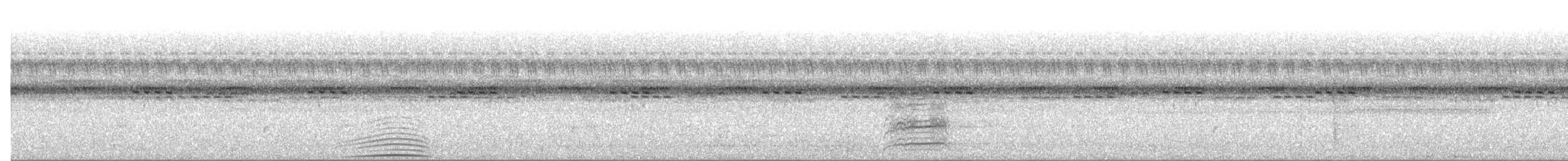 Striped Owl - ML642427858