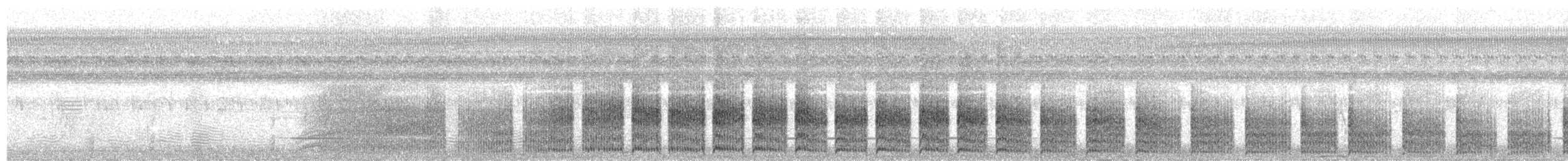 Polluela Negruzca - ML642429026