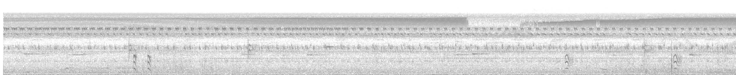Polluela Negruzca - ML642429027