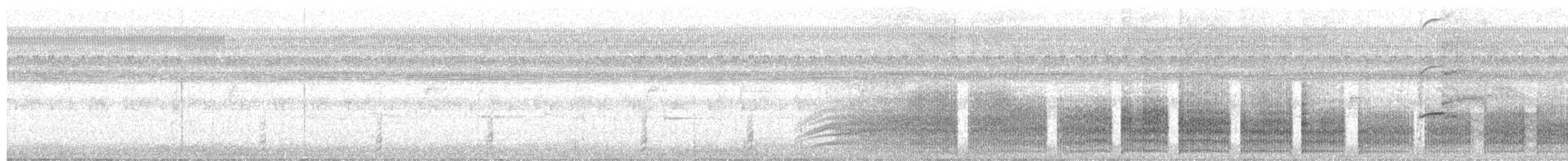 Polluela Negruzca - ML642429028