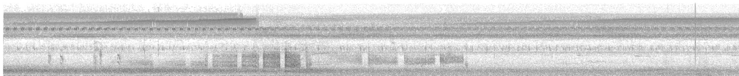 Polluela Negruzca - ML642429030