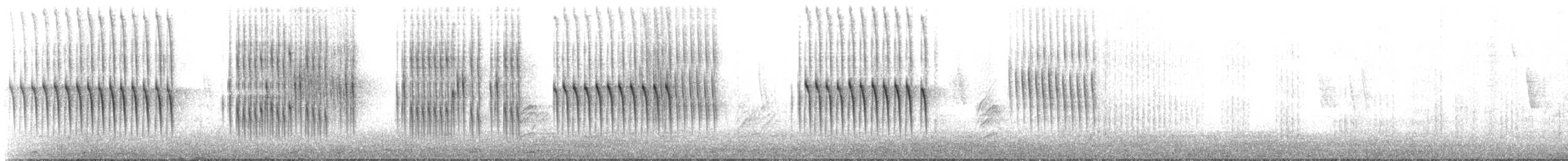 Thorn-tailed Rayadito - ML642429638