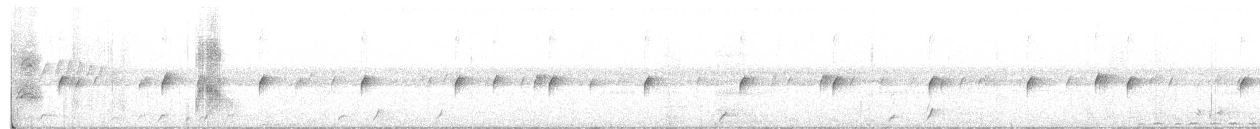 pauraquenattravn - ML642429665