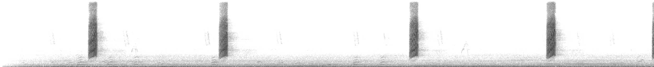 Austral Thrush (Magellan) - ML642429685