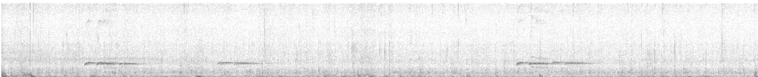 Chami Antpitta - ML642433372