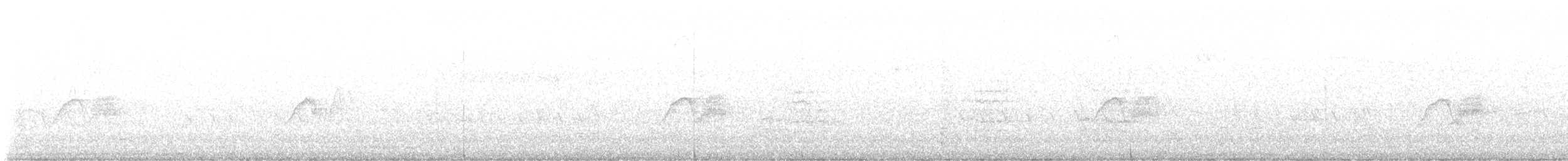 Moucherolle phébi - ML642433765
