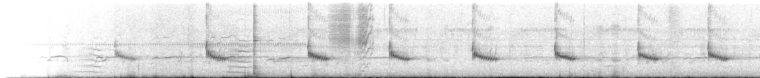 Carolina Wren (Northern) - ML642434267