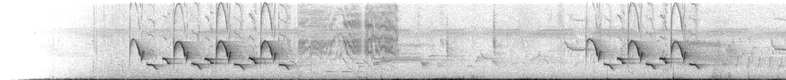 Carolina Wren (Northern) - ML642434276