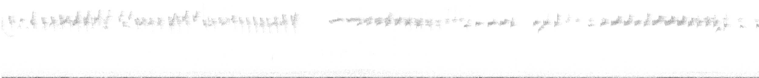 králíček obecný - ML642434868