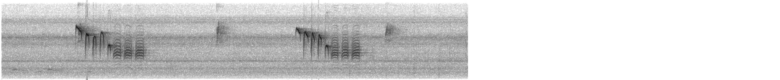 カロライナコガラ - ML642435405