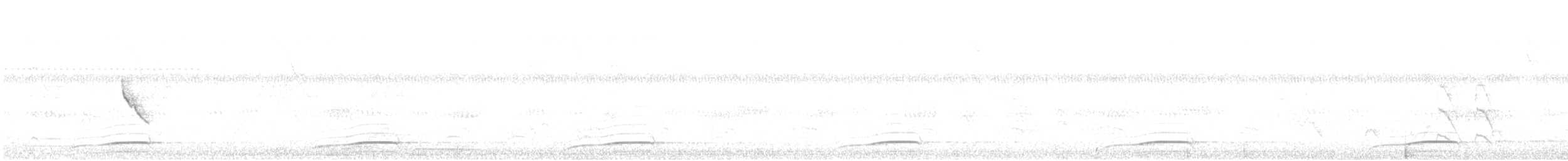 Laughing Falcon - ML642435571