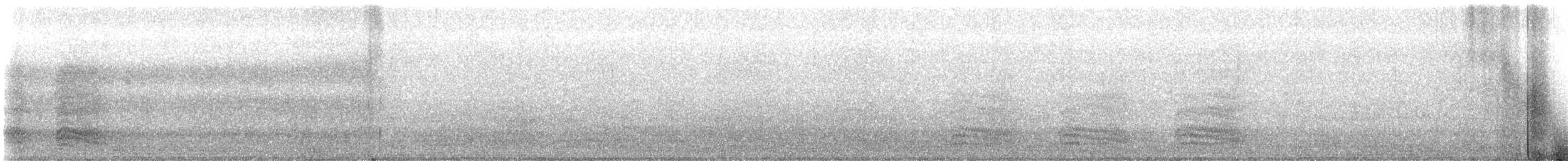 American Crow - ML642435681