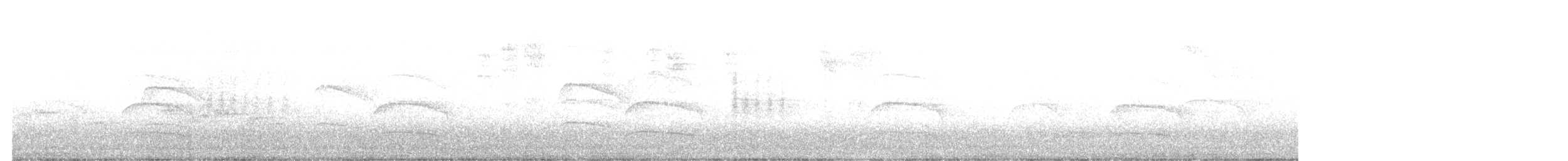 Eurasian Sparrowhawk - ML642435870