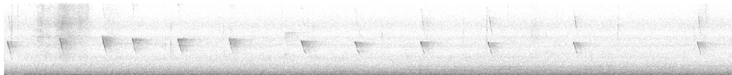 Black Phoebe - ML642439520