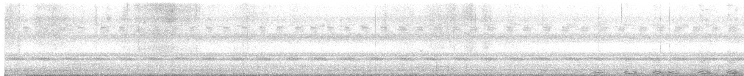 Barred Owl - ML642439777