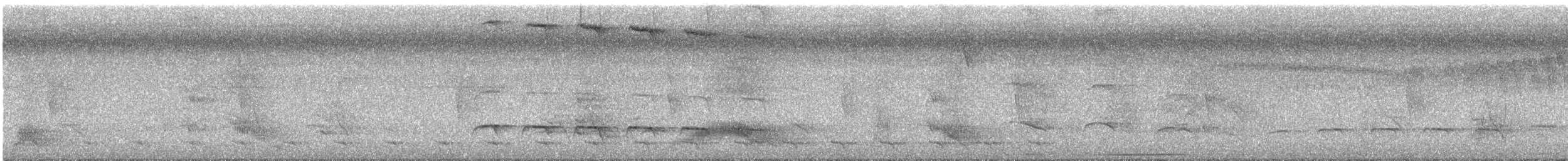 White-shouldered Fire-eye - ML642443637