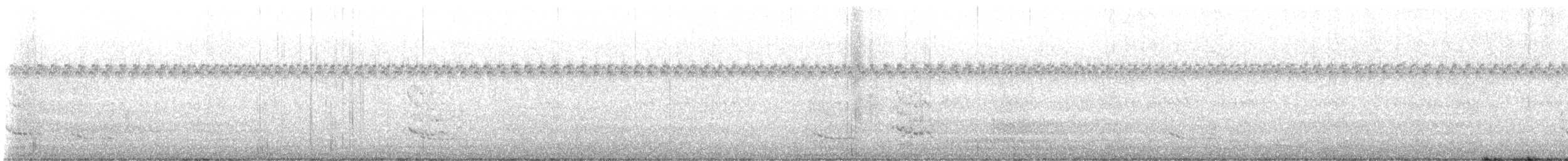 Royal Tern - ML642443977