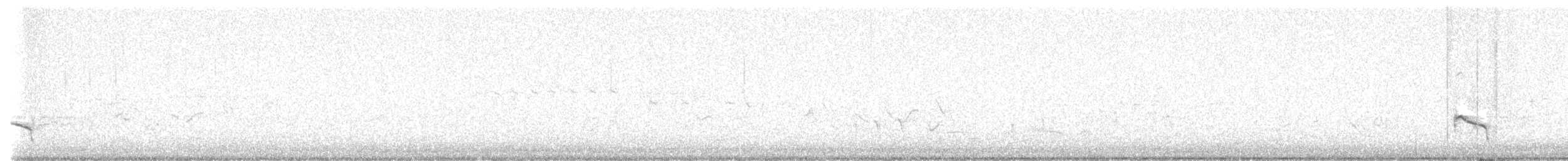 コチドリ - ML642445625