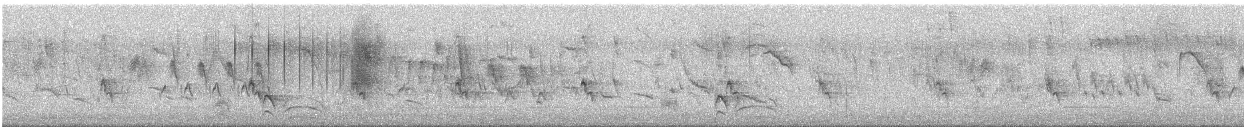 Wren-like Rushbird - ML642445700