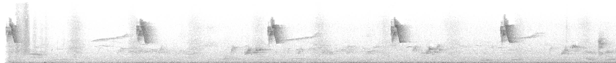 עלווית בלטית - ML642447814