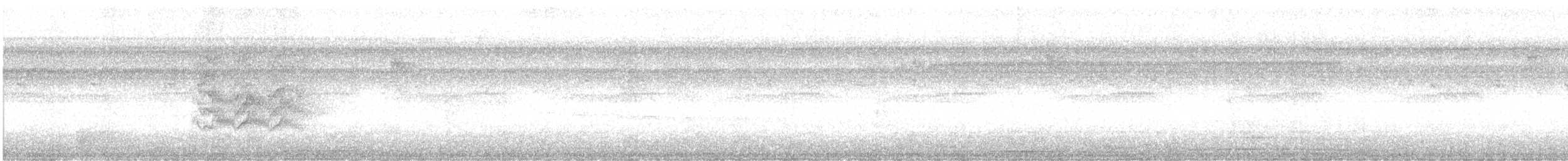 Tyran pitangua - ML642449544
