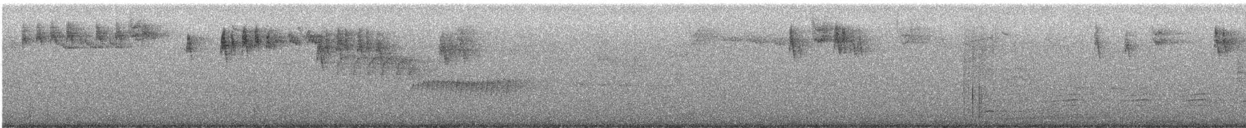 Bewick's Wren - ML642449639