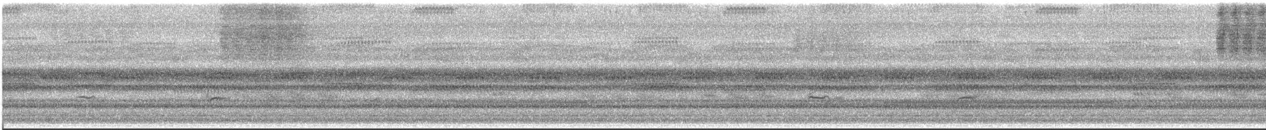 bird sp. - ML642450186